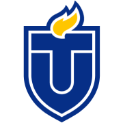Chat icon